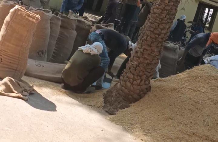 बैरसिया मंडी में धान के दाम गिरने से  किसान मायूश !