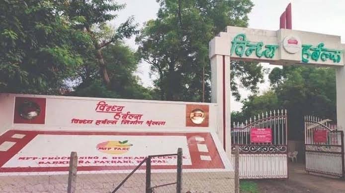महिला अधिकारियों से दुर्व्यवहार का मामला: जांच नहीं, जुगाड़ चलाआरोपी को मिला मुख्यालय में अटैचमेंट, एमडी की भूमिका सवालों में