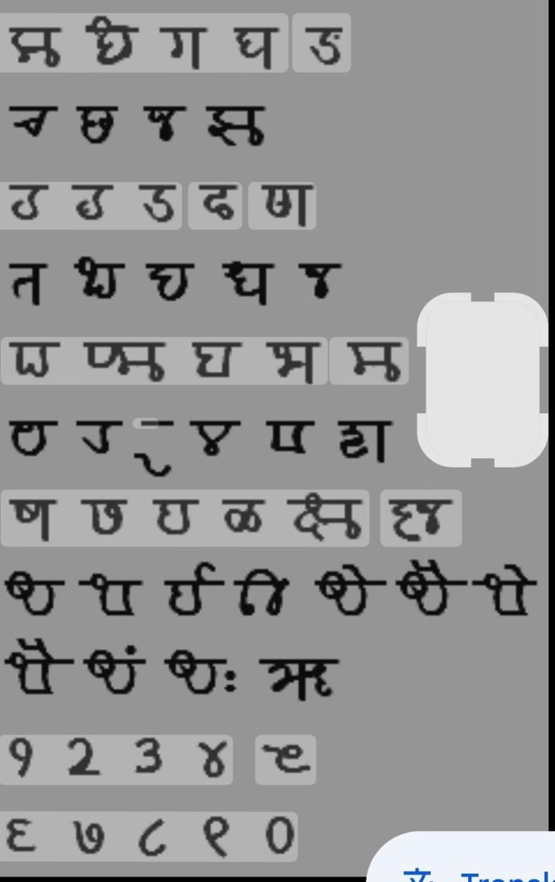 दिया जाएगा प्रशिक्षण, सिखाई जाएगी भाषा, क्योंकि यह है हमारी विरासत